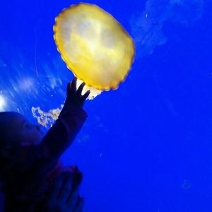 Meet your Posher, Todd